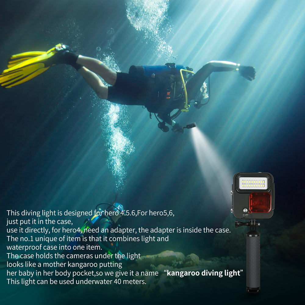 Diving LED Light